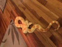 Larry1.jpg
