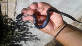 20170828_165958.jpg