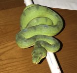Patternless-1.jpg