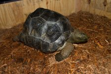 Reptile Shoot-16.jpg