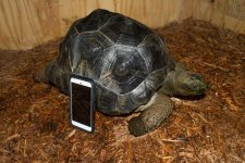 Reptile Shoot-17.jpg