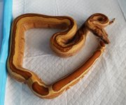20170509_164334.jpg