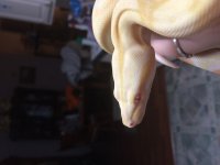 IMG_1755.jpg
