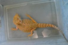 20161009_141157.jpg