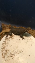 IMG_20170614_173555.jpg