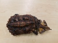 20170429_145328.jpg