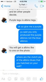 albino01.jpg