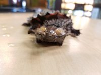 20170429_145338.jpg