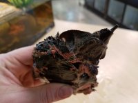 20170429_145423.jpg