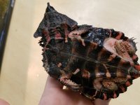 20170429_145441.jpg