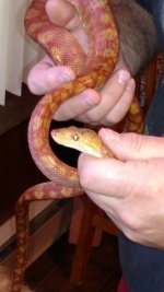 IMG_20170531_112227496.jpg