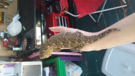20170725_124934.jpg