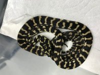 4Iui6JnPT1WK8d5NZPKvOQ.jpg