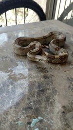 IMG_20170401_135756053.jpg