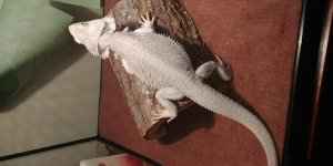 20170408_205603.jpg