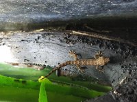 20170709_184116.jpg
