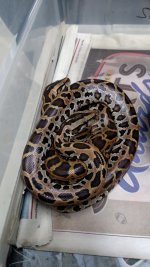 IMG_20170826_172810047.jpg
