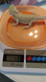 IMG_20170817_153817388.jpg