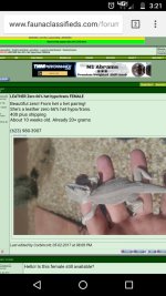 Screenshot_20170817-152128.jpg