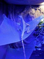 IMG_20170428_084409.jpg