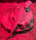 IMG_20170428_084146.jpg