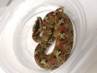 20170805_133922.jpg