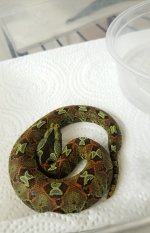 20170719_202539.jpg