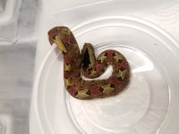 20170719_094253.jpg