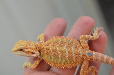 DSC_9468.jpg