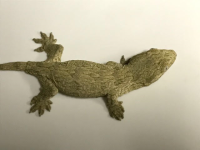 pic8.png