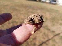 20170806_170150.jpg