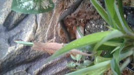 20170430_162042.jpg