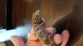 20170704_122203.jpg