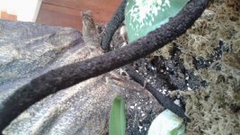 20170430_164036.jpg