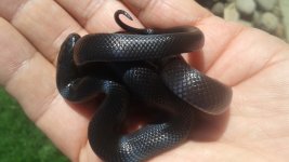 20171002_144502.jpg