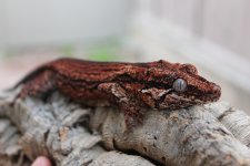 IMG_0002.jpg