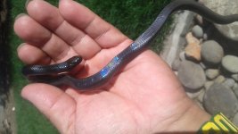 20171002_144526.jpg