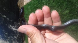 20171002_144628.jpg