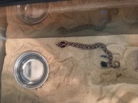 IMG_3220[1].jpg