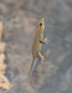 female_2_100217.jpg