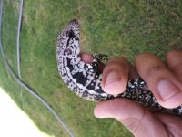 20170829_111759.jpg