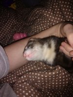 IMG_20170930_141714276.jpg