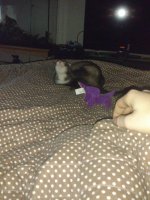 IMG_20170930_141455778.jpg