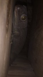 IMG_4498.jpg