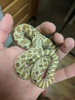 IMG_20171118_094456.jpg