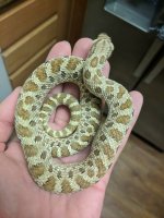IMG_20171118_094353.jpg