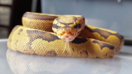 IMG_20170909_085325_297.jpg