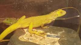 20171001_165456.jpg