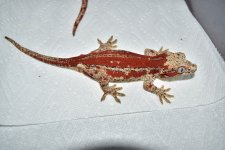 DSC_0269.jpg