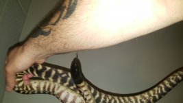 20170517_025813.jpg